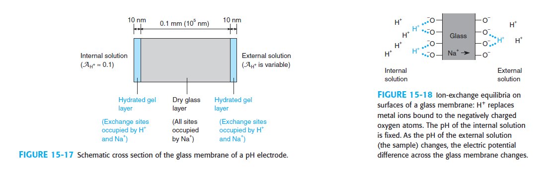 glass membrane